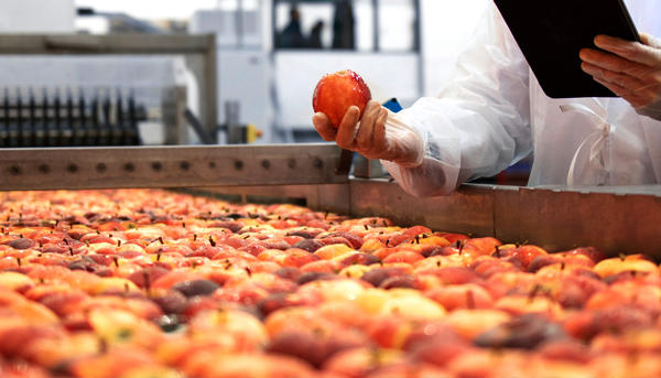 Lagerlösungen für die Lebensmittelindustrie